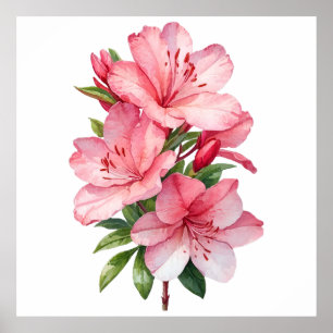 Azalea flower watercolor painting poster