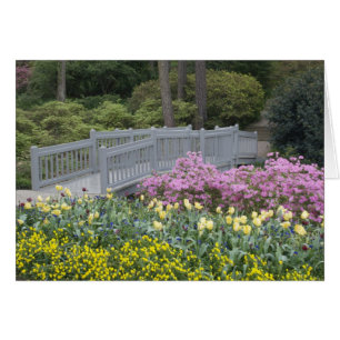 Azalea Heath Family (Ericaceae), Tulip, and