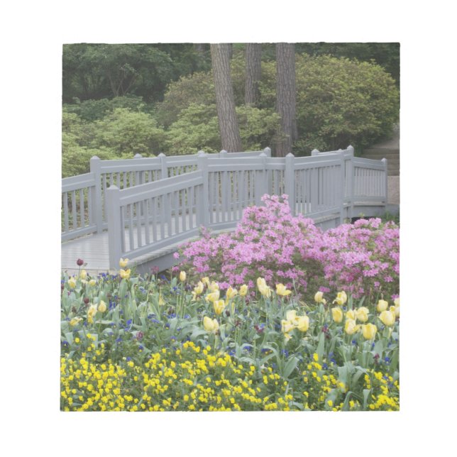 Azalea Heath Family (Ericaceae), Tulip, and Notepad (Front)