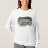 Azalea Heath Family (Ericaceae), Tulip, and