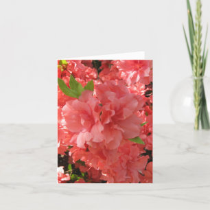 Azalea Notecard