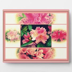 Azaleas 1950's Style Plaque