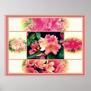 Azaleas 1950's Style Poster