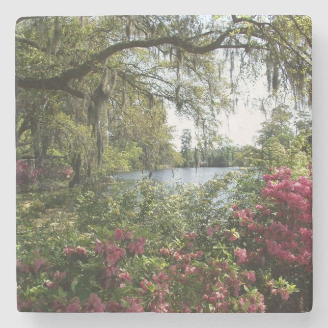 Azaleas, Airlie Gardens Stone Coaster (Front)