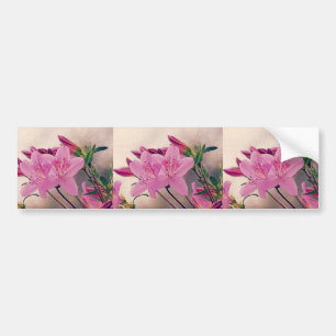 Azaleas Bumper Sticker