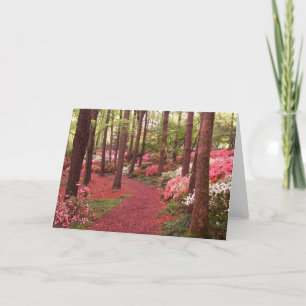 azaleas card