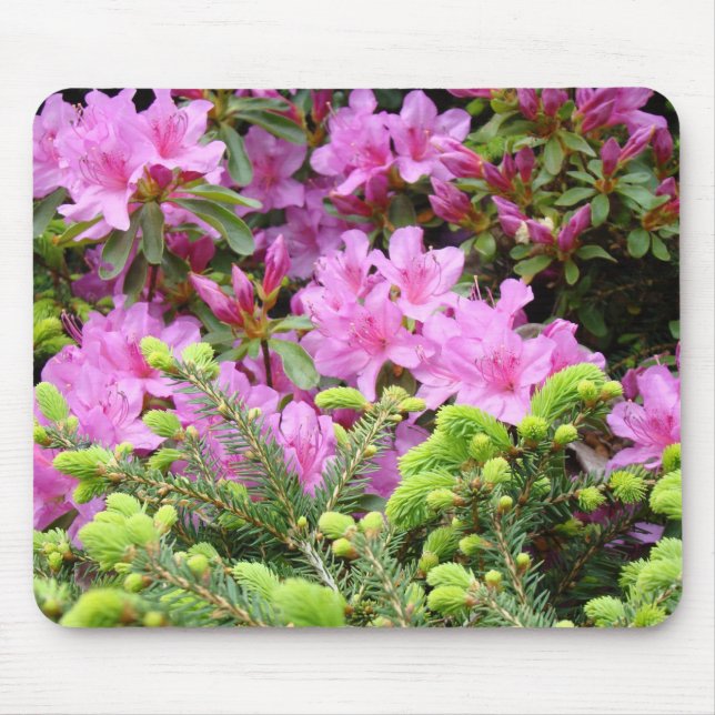 AZALEAS Flowers MOUSE PADS Pine Tree MOUSEPAD (Front)