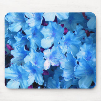 Azaleas in Blue Mouse Pad
