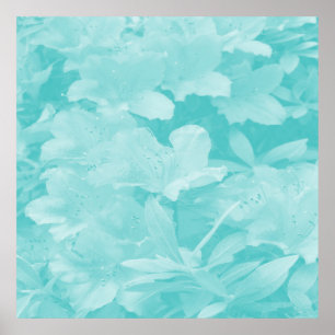 Azaleas.... Poster