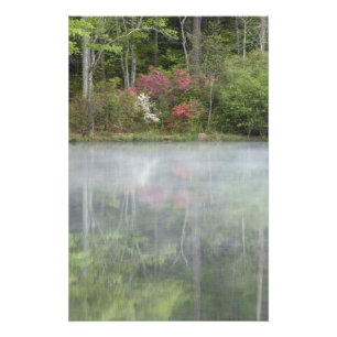 Azaleas relfecting in a pond during early photo print