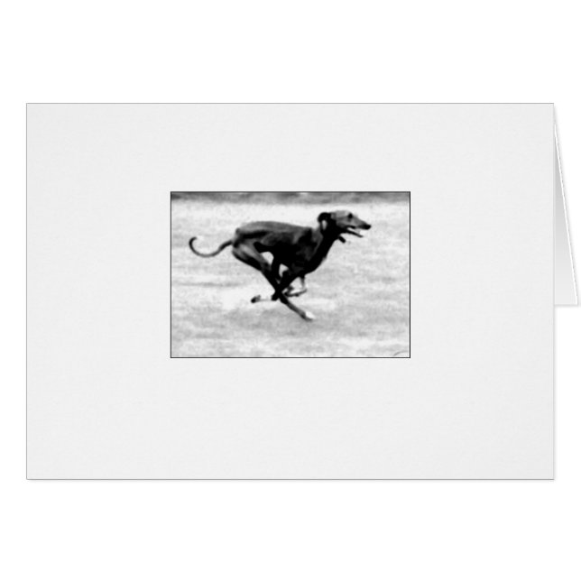 Azawakh Card 3 by David Moore (Front Horizontal)