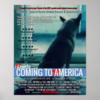 Azeerta - Coming to America Poster