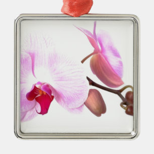 Aziza Orchid Blossoms Metal Tree Decoration