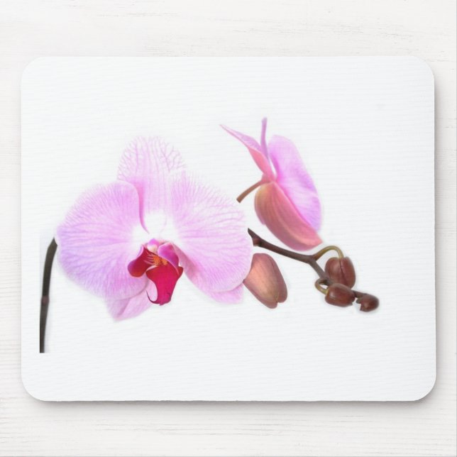 Aziza Orchid Blossoms Mouse Pad (Front)