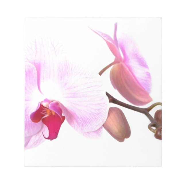 Aziza Orchid Blossoms Notepad (Front)