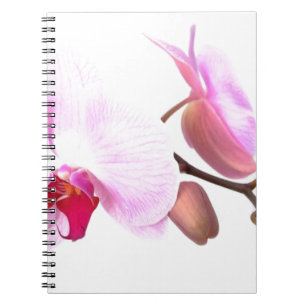 Aziza Orchid Blossoms Spiral Notebook