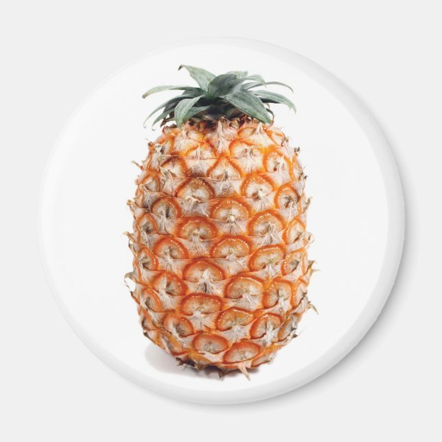 Azores Pineapple magnet (Front)