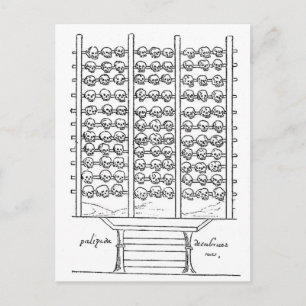 Aztec Tzompantli Skull Rack Codex Duran Postcard