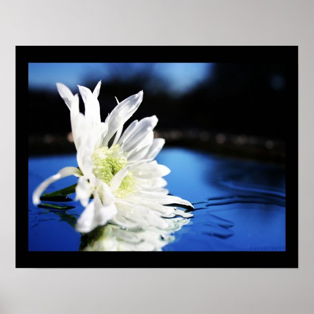 azura poster (Front)