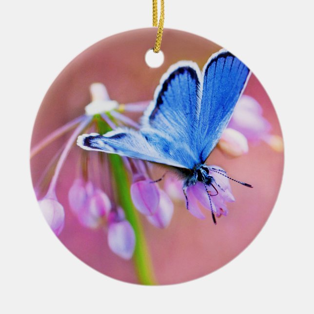 Azure Butterfly Ceramic Tree Decoration (Front)