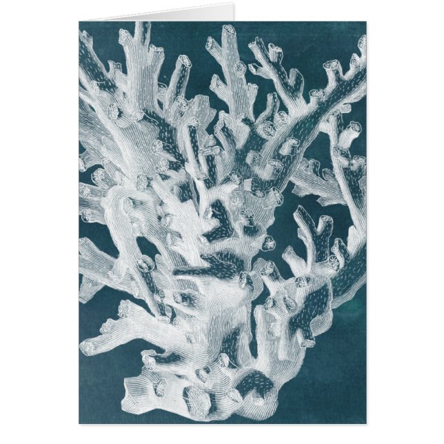 Azure Coral I (Front)