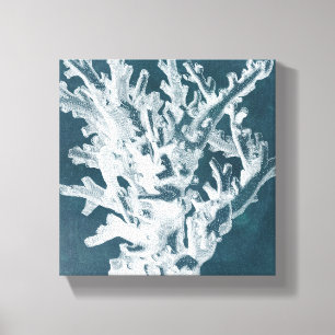 Azure Coral I Canvas Print
