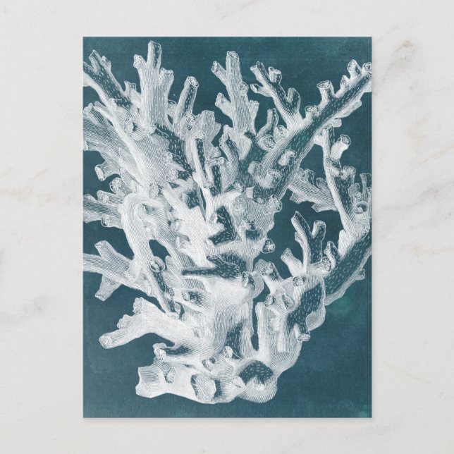 Azure Coral I Postcard (Front)