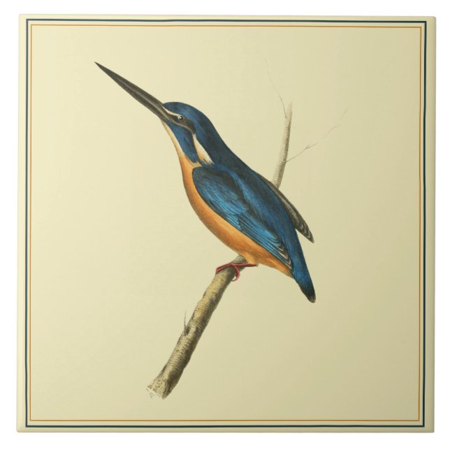 Azure Kingfisher Tile (Front)