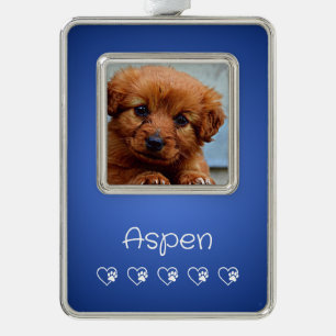 Azure Pet Photo Ornament - Christmas Gift