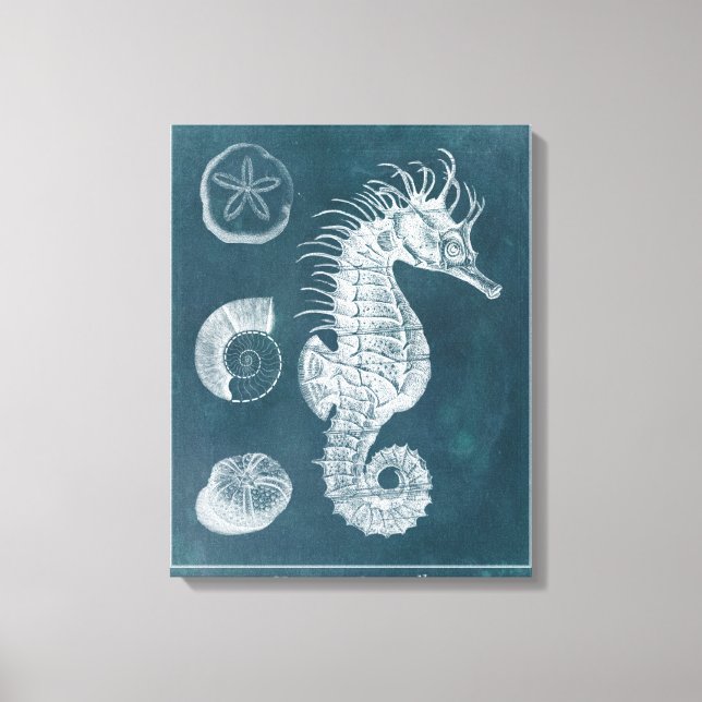 Azure Seahorse Study I Canvas Print (Front)