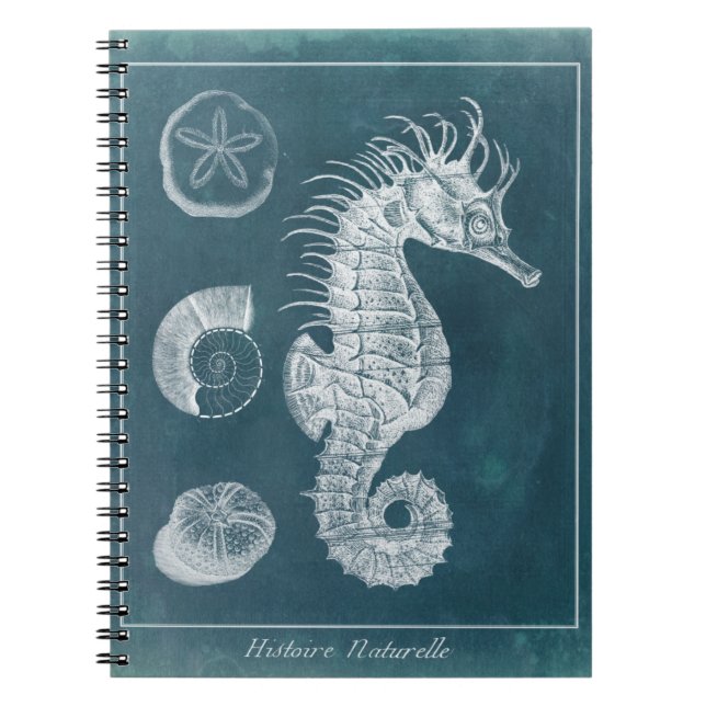 Azure Seahorse Study I Spiral Notebook (Front)