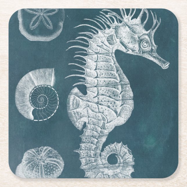 Azure Seahorse Study I Square Paper Coaster (Front)