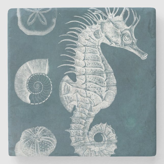 Azure Seahorse Study I Stone Coaster (Front)