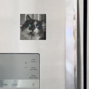 Azure Soul Black Cat Blue Eyes Square Magnet