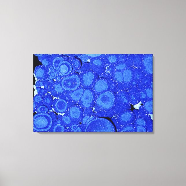 Azurite, an ore of Copper, Arizona, USA Canvas Print (Front)