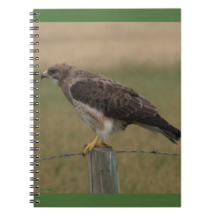 B10 Swainson's Hawk Notebook