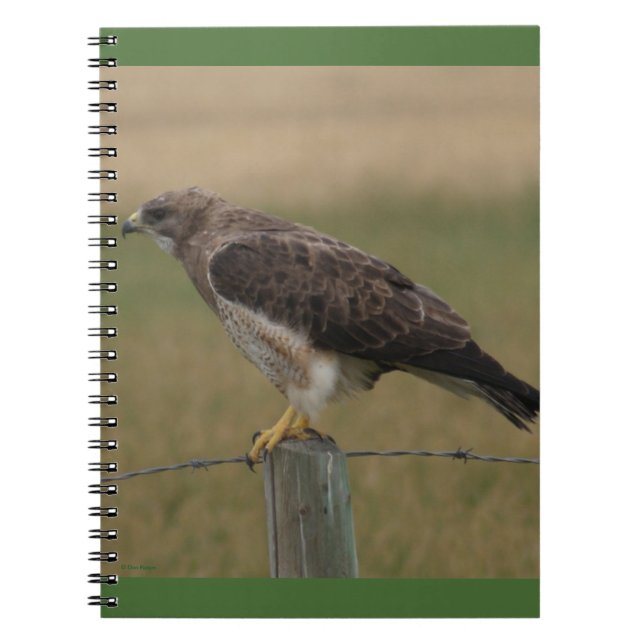 B10 Swainson's Hawk Notebook (Front)