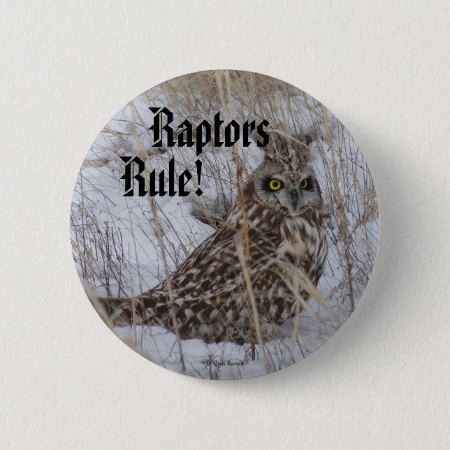B11 Short-eared Owl 6 Cm Round Badge (Front)