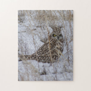 B11 Short-eared Owl Jigsaw Puzzle