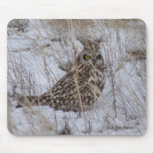 B11 Short-eared Owl Mouse Pad