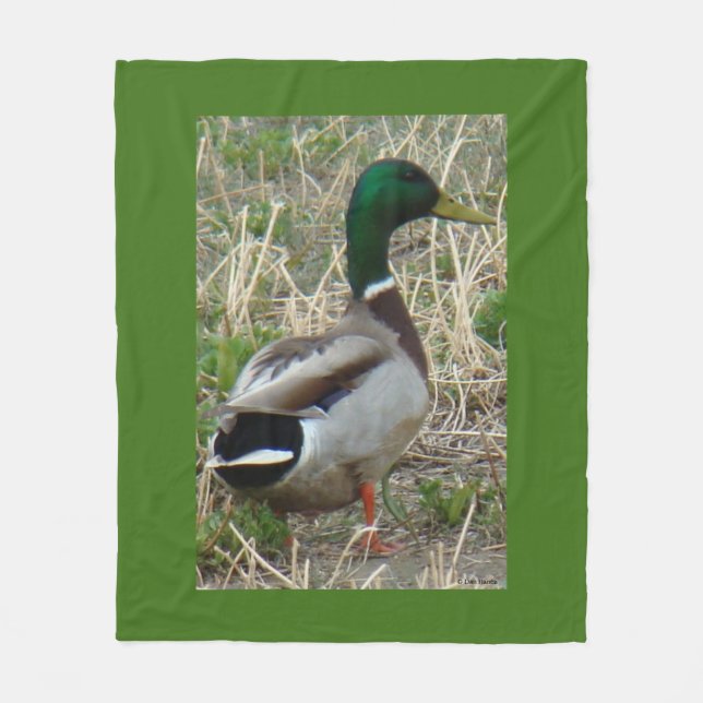 B12 Mallard Duck Drake Fleece Blanket (Front)