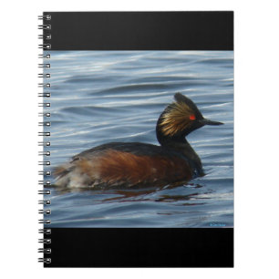 B13 Eared Grebe Notebook