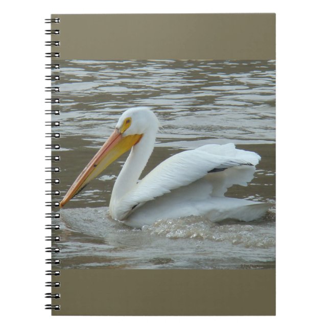 B14 White Pelican on Muddy River Notebook (Front)