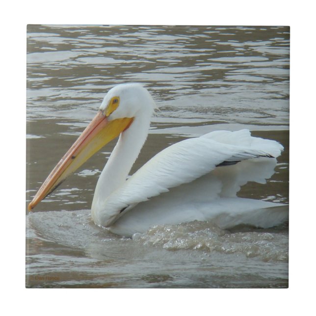 B14 White Pelican on Muddy River Tile (Front)