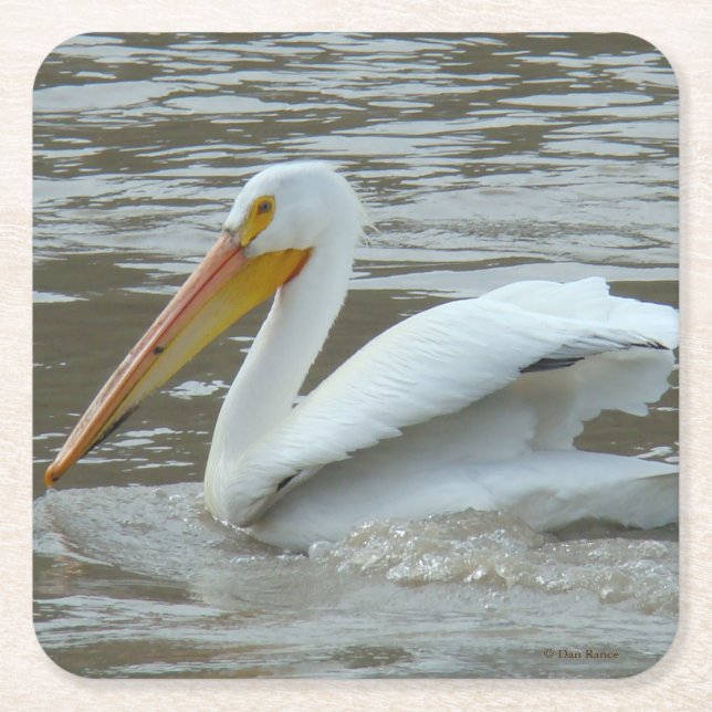 B14 White Pelican Square Paper Coaster (Front)