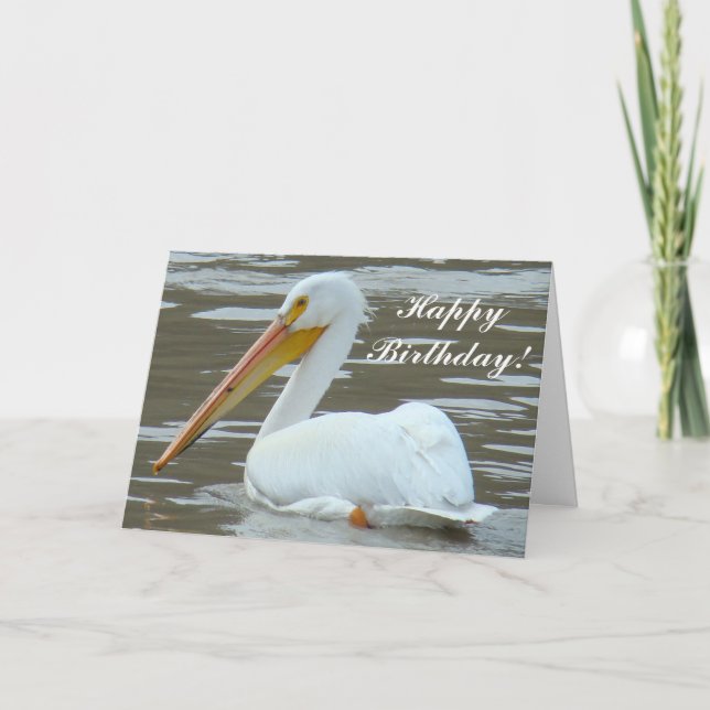 B15 White Pelican on Muddy Water Card (Front)