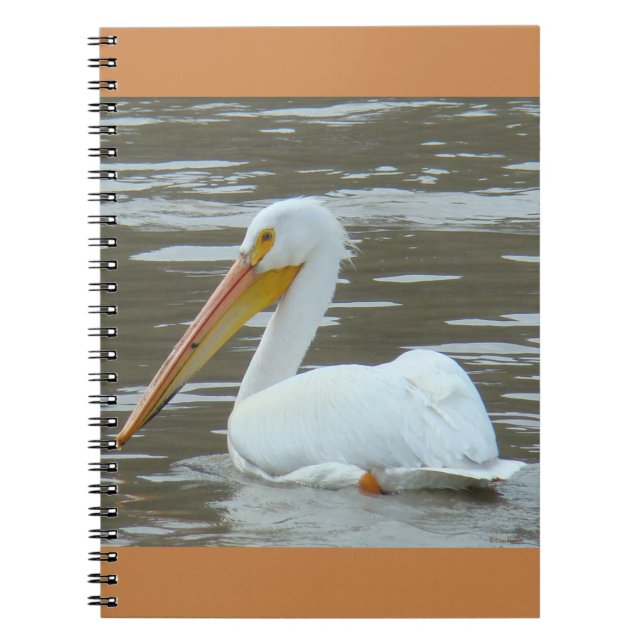B15 White Pelican on Muddy Water Notebook (Front)