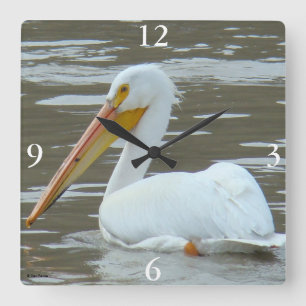 B15 White Pelican on Muddy Water Square Wall Clock