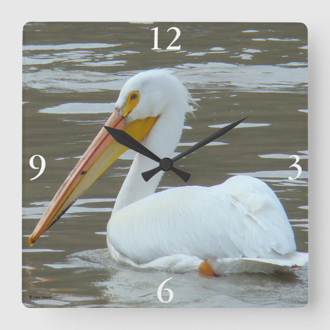 B15 White Pelican on Muddy Water Square Wall Clock (Front)