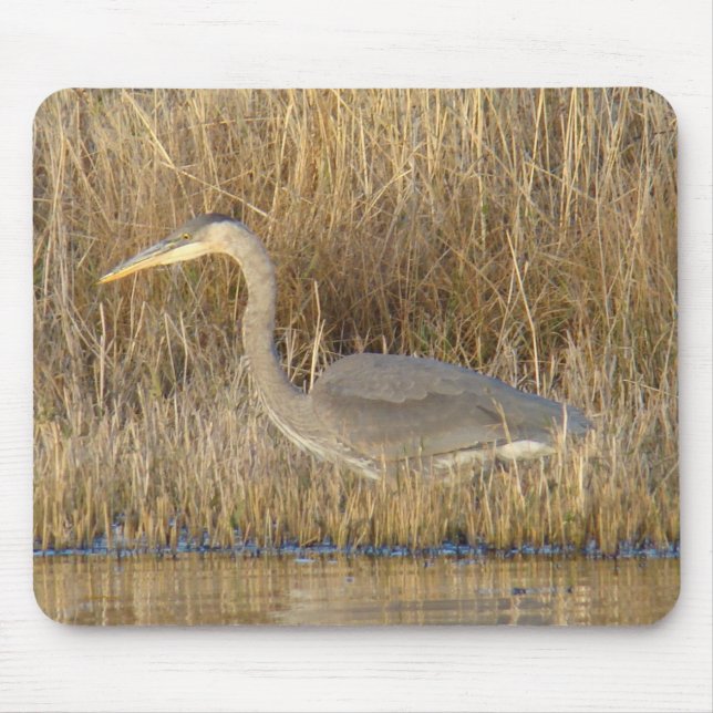 B19 Juvenile Great Blue Heron Mouse Pad (Front)